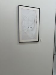 -智美品质医美
