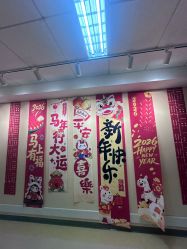 -北京爱育华医院-医疗美容科