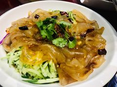 东北大拉皮-邵年鸽(杨庄店)