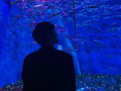 -成都浩海立方海洋公园