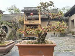 -胡氏古民居建筑