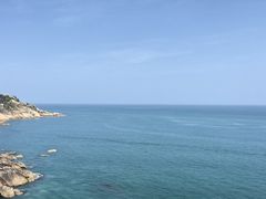 -广东惠东海龟国家级自然保护区