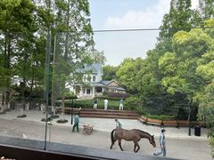 -J Create城市露营咖啡·简餐·宠物(上海动物园店)