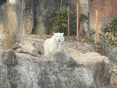 -杭州野生动物世界