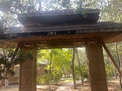 -大兴滨河森林公园