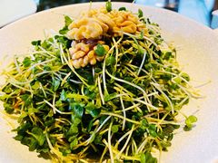 玫瑰酒拌龙须豆苗-申粤轩酒楼·三十年粤菜经典(丁香花园店)