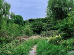 -燕郊植物园