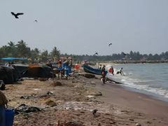 -尼甘布海鲜市场