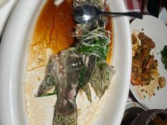 -陶缘一号·四季缘·老字号顺德菜·户外婚礼家宴(西滘店)