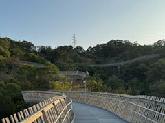 -福道