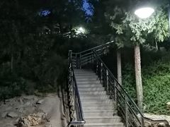 -黄村公园