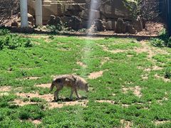 -大连森林动物园