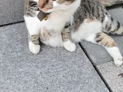 -ID.PHOTO照相馆(嘉里企业中心店)
