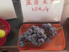 -马陆小张葡萄园农家乐