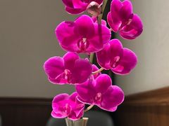 -钱塘花园·宁波菜