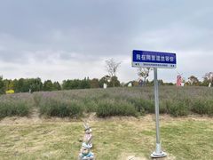 -同里国家湿地公园