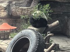 -石家庄市动物园