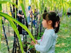 -汉长安城未央宫国家考古遗址公园