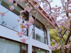 -同里湖度假村(二期店)