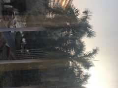 -星巴克(夏日百货店)