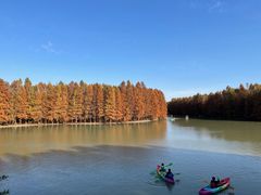 -上海海湾国家森林公园