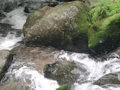 -藏龙百瀑风景区