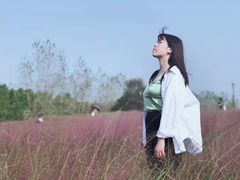 -杭州湾海上花田景区