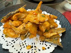 -金瑞轩大酒楼·顺德鱼生·粤菜海鲜(东江国际店)