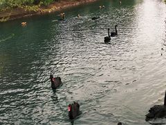 -长白岛森林公园