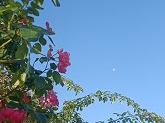 -广富林郊野公园