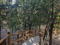 -白水寺森林公园
