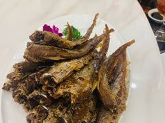 -梅龙镇酒家(南京西路总店)