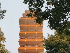 -鹅岭公园瞰胜楼