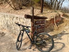 -北京西山国家森林公园