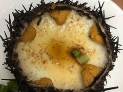 -海胆小馆(东北水饺·春柳店)