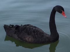 -泰安地下龙宫景区