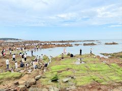 -青岛第二海水浴场