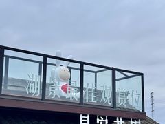 -杭州湾海上花田景区