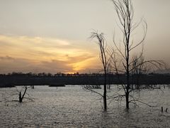 -绿堤公园