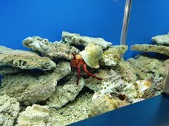 -秦皇岛新澳海底世界