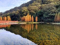 -广州市石门国家森林公园