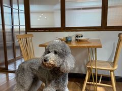 -沏点Trattoria意大利餐厅(新街口店)