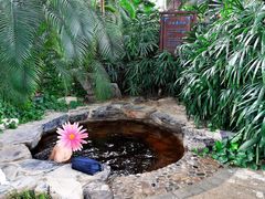 -中家鑫园温泉酒店鑫悦汤泉