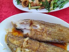 -蛇口康乐快餐鱼仔档(翠苑小区店)