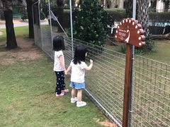 -三亚御海棠豪华精选度假酒店