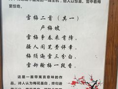 -香雪海