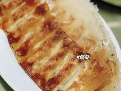 -大眼锅贴水饺(河东店)