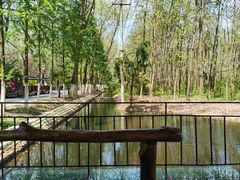 -合肥滨湖国家森林公园