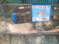 -范饭椰林川湘味海鲜·椰子鸡(三亚湾椰梦长廊店)