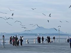 -东港音乐喷泉广场